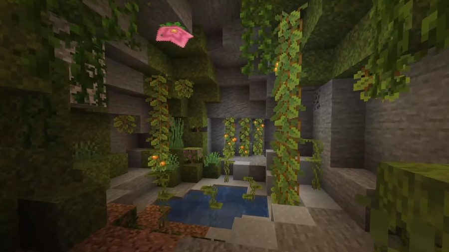 minecraft-grottes-et-falaises-luxurieuses-grottes Les grottes luxuriantes abritent plusieurs plantes, notamment des baies poussant sur des vignes et de grandes fleurs roses qui émettent des particules du plafond.
