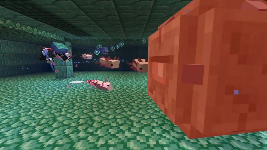 minecraft-grottes-et-falaises-axolotls Un nageur et une flotte d'Axolotls détruisent un ennemi sous l'eau.