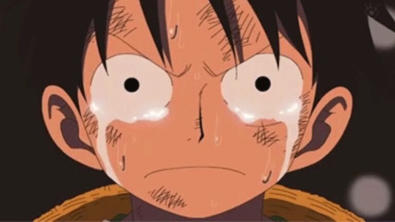 One Piece : Une mauvaise nouvelle et une attente insoutenable pour les PURS fans