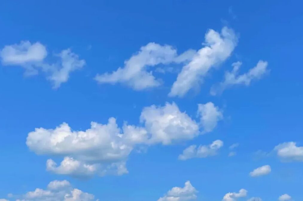 Bluesky pourra-t-il maintenir son identité unique face à l'afflux massif de nouveaux utilisateurs ?