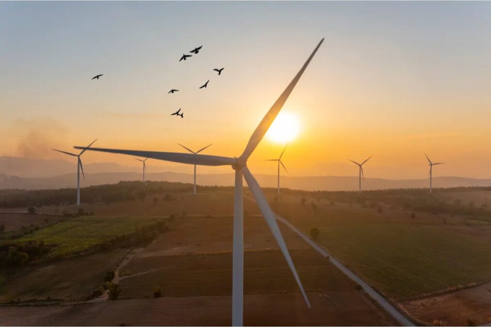 Comment l’intelligence artificielle peut-elle transformer les solutions énergétiques et accélérer la transition écologique en 2025 ?
