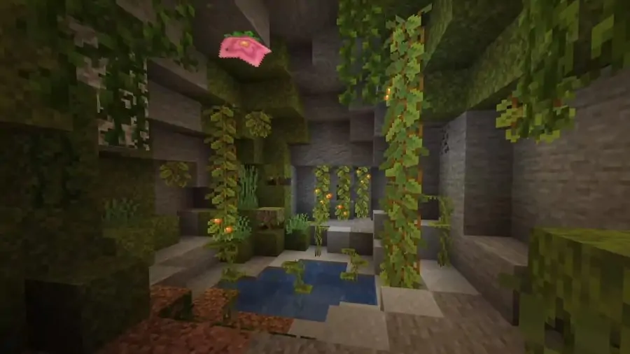 Les grottes luxuriantes abritent plusieurs plantes, notamment des baies poussant sur des vignes et de grandes fleurs roses qui émettent des particules du plafond.