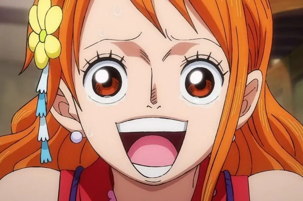 Chiaki Inaba Ancienne cosplayeuse et mannequin, est la source d'inspiration d'Eiichiro Oda pour Nami et sa compagne