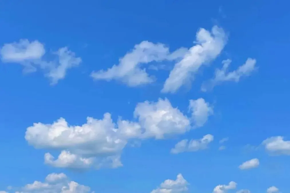 Comment Bluesky compte-t-il maintenir sa croissance face à la concurrence de Meta’s Threads ?